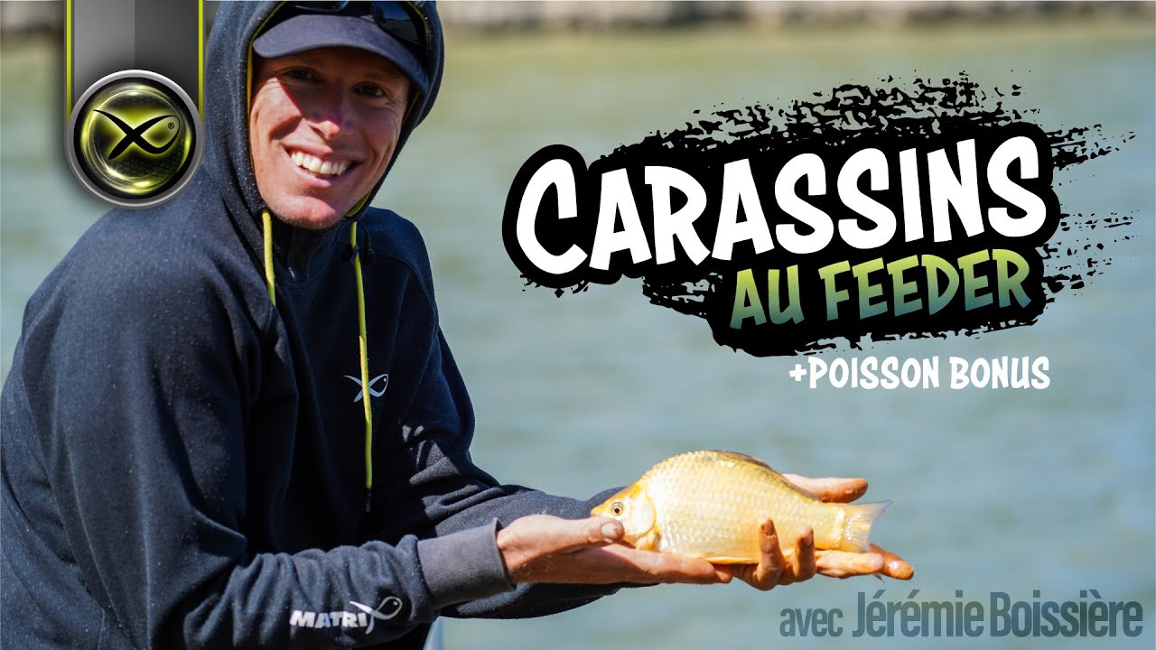 Carassins au feeder avec Jérémie Boissière - Matrix Fishing TV France #pêche #matrix #france