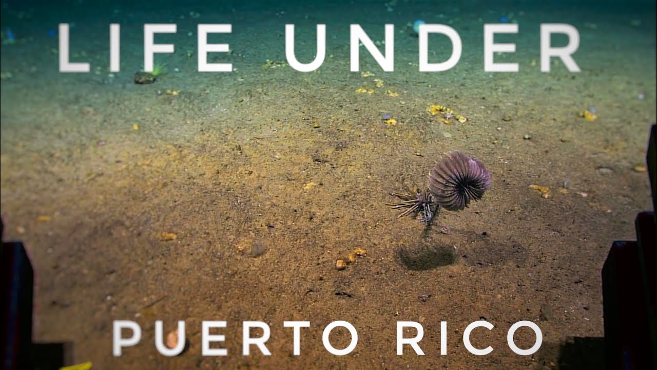 Exploring the Deepest Part of the Atlantic: Puerto Rico Trench Expedition