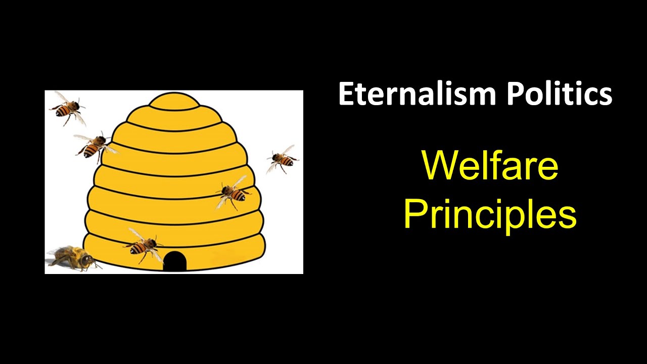 Welfare Principles (Politics Case Study 01)