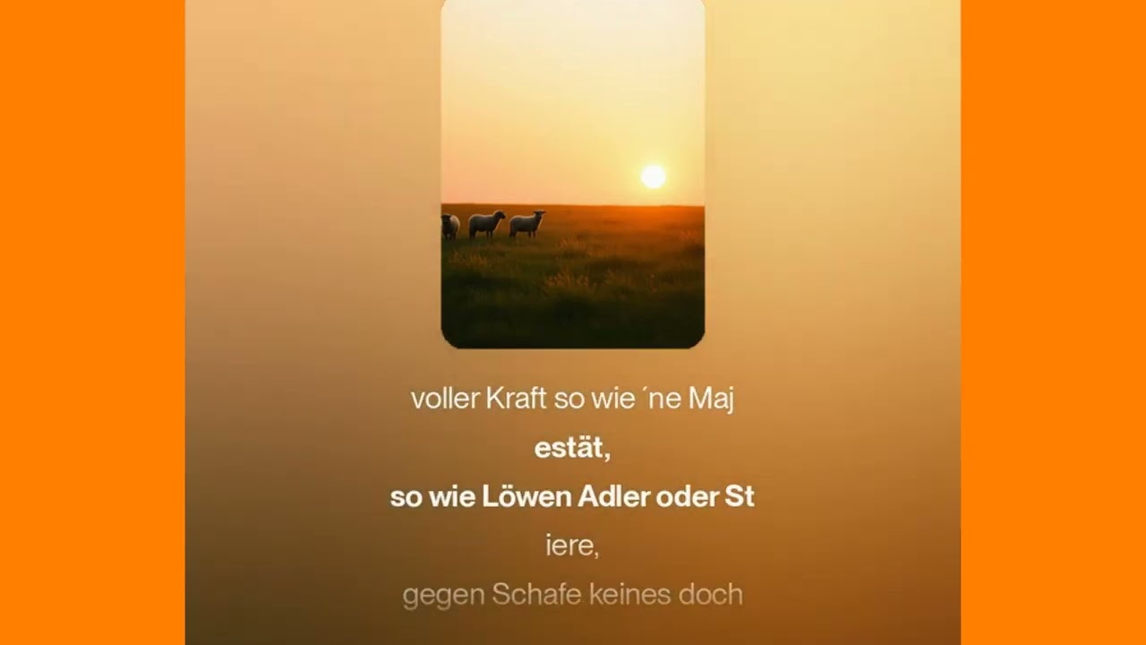 Deine Schafe - (Johannes 10:16)