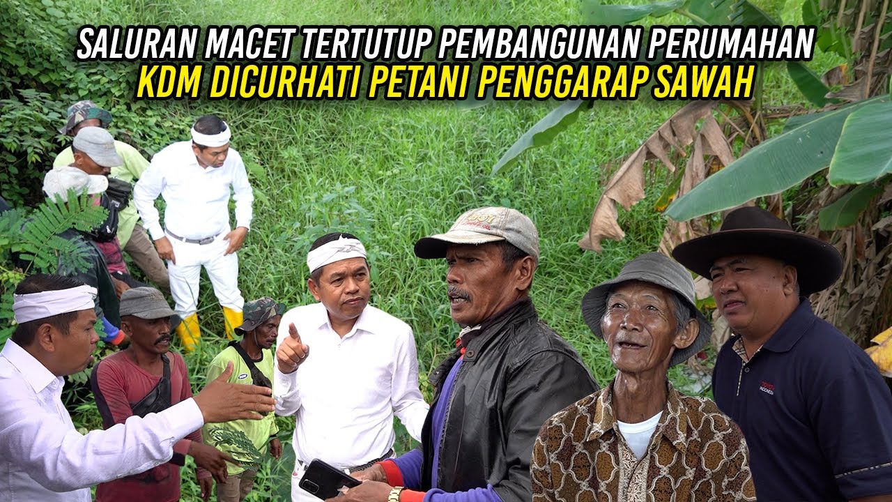 SALURAN MACET TERTUTUP PEMBANGUNAN PERUMAHAN | KDM DICURHATI PETANI PENGGARAP SAWAH