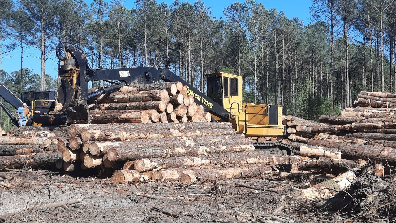 Heavy Equipment Logging Operation
