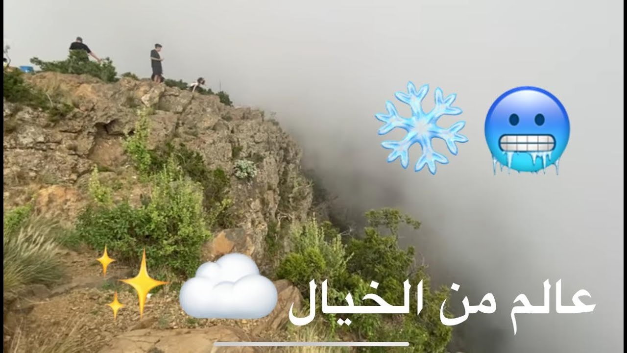 #حفرة_الموت ومزرعة الفراولة