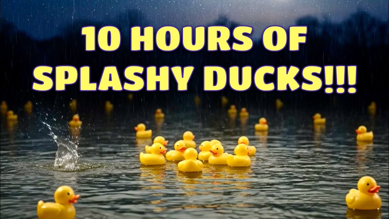 Sea of ducks in the rain (10 HOURS) Ultimate Sleep & Study ASMR