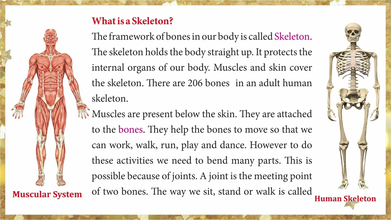 ECO WORLD 3 CHAPTER 2