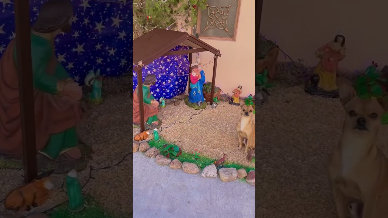 Que reales son los #animales del nacimiento #navidad