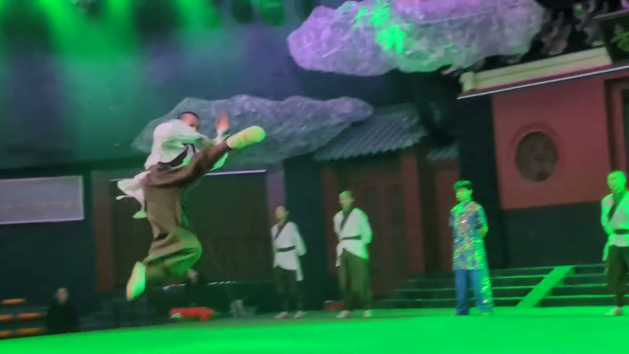 Shaolin temple 4