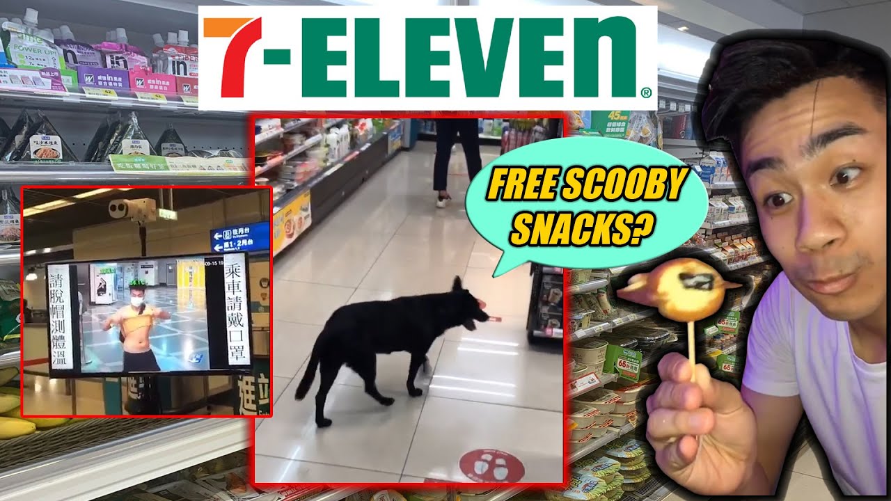 DOG tries to BUY SNACKS | ABC in Taiwan pt.5