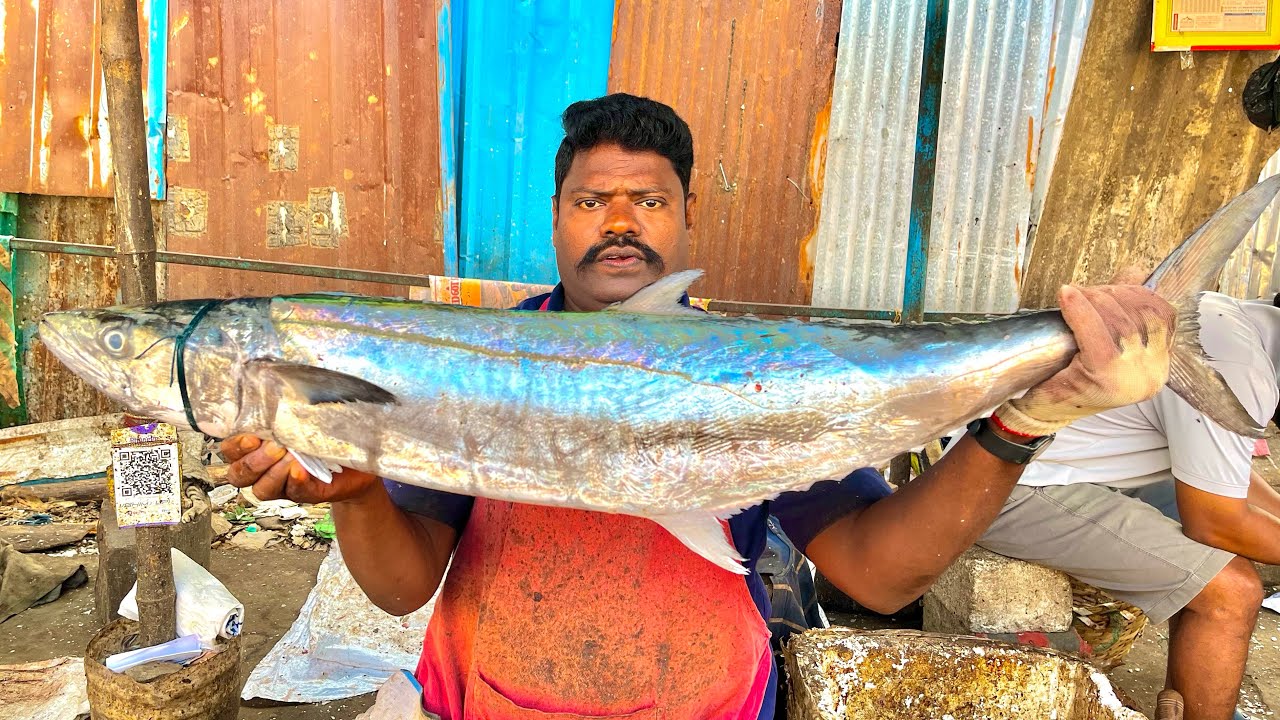 Видео разделки крупной королевской рыбы Касимеду Спидселвам #kasimeduselvam #fishcutting