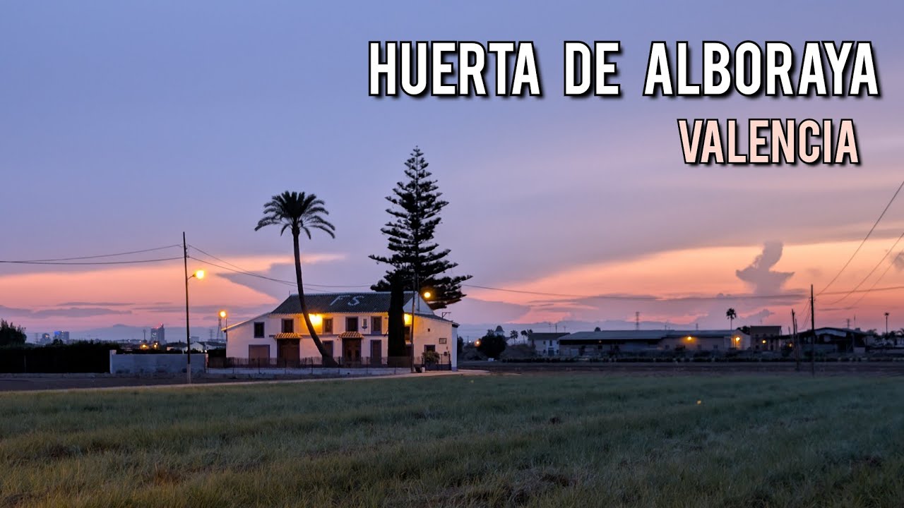 Huerta de Alboraya (Valencia): El Alma de la Huerta Valenciana 