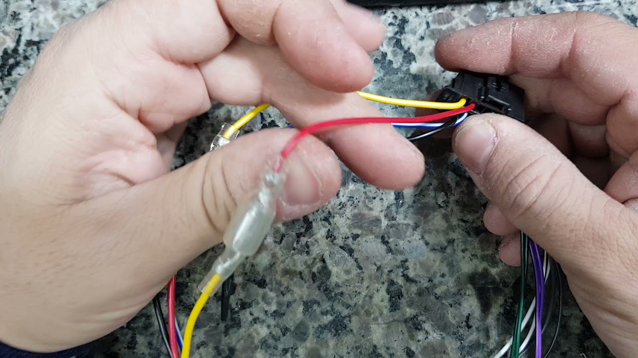 PINAGEM CHICOTE PIONEER