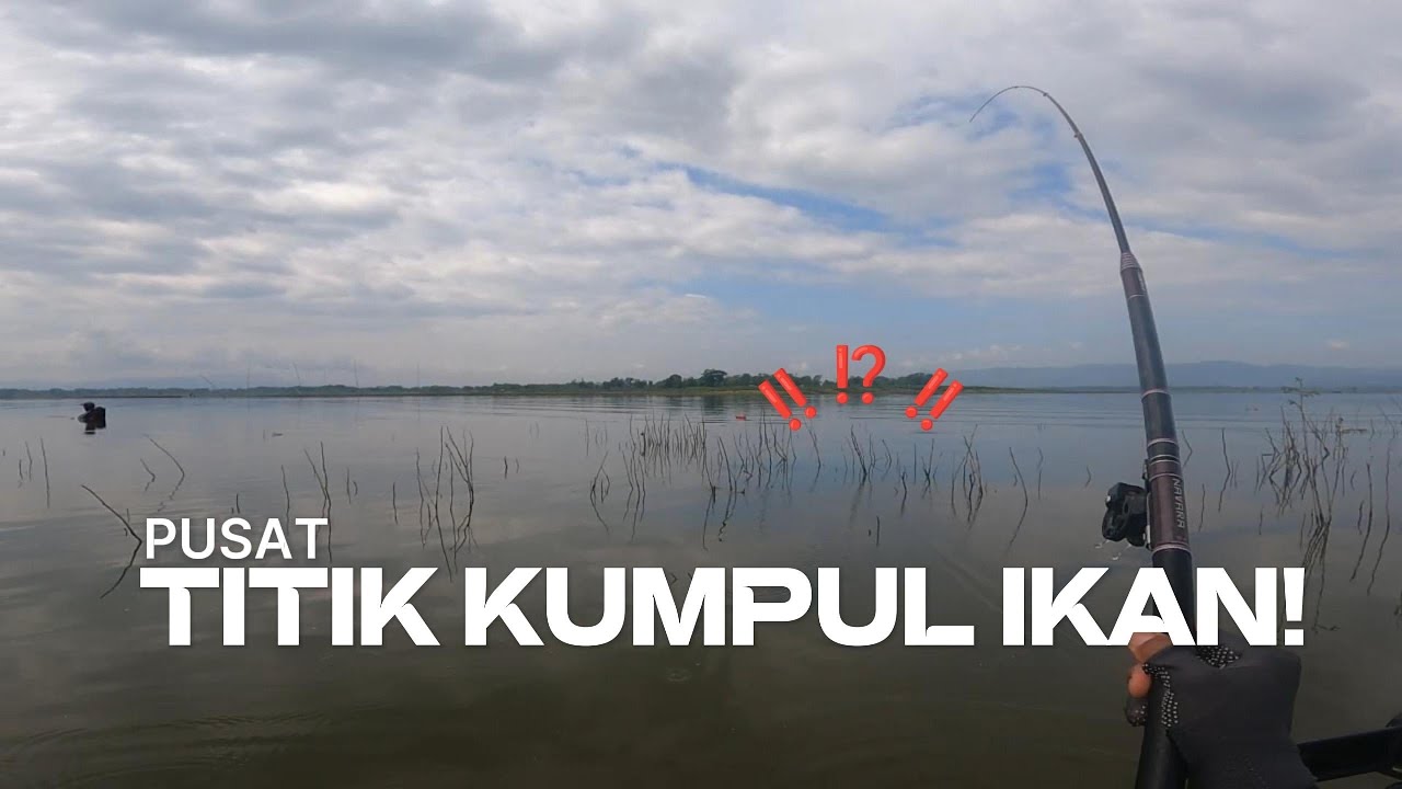 WGM IKAN TERLALU MUDAH, STRIKE BERTUBI-TUBI DI SATU TITIK