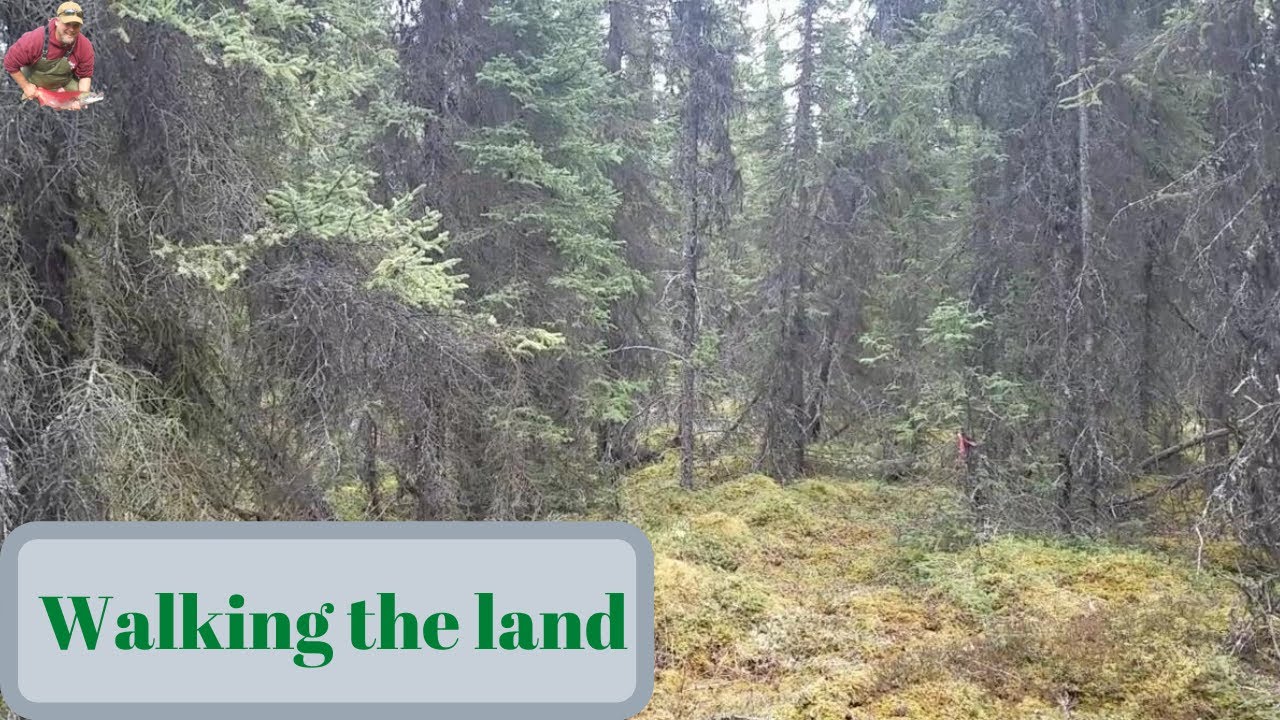 Episode 1 a quick drive #seaninalaska