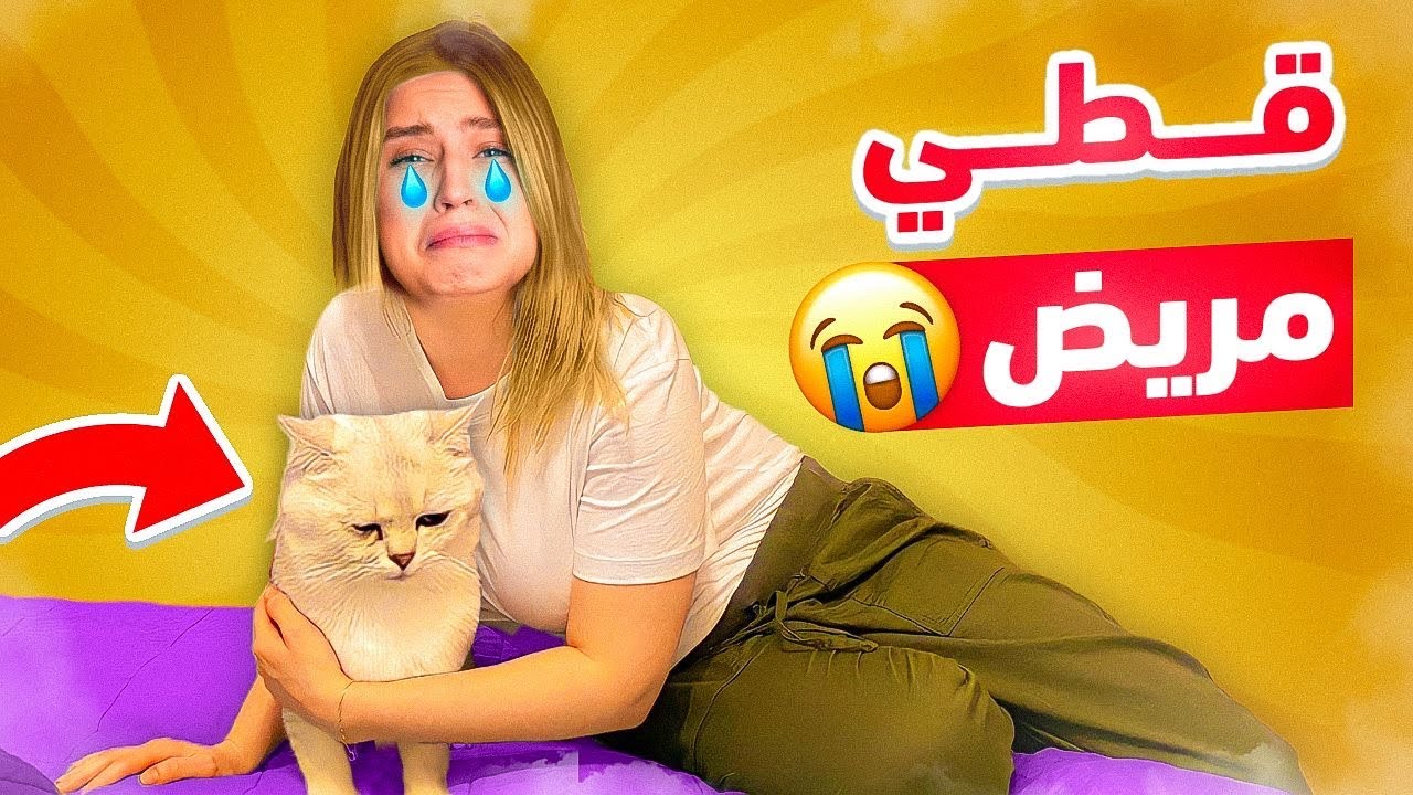 قطي المسكين مريض 😞وديناه المستشفى و صار يبكي 😢💔