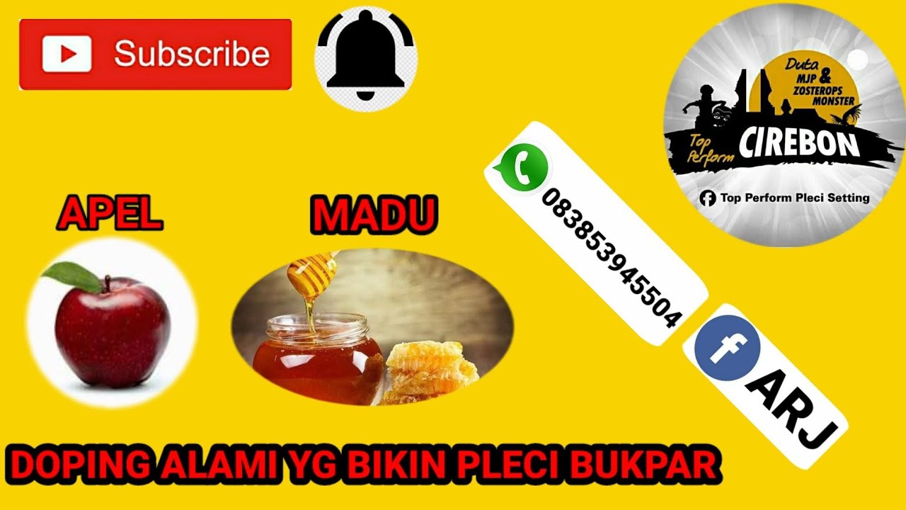 Doping pleci# ALAMI dari apel merah dan madu