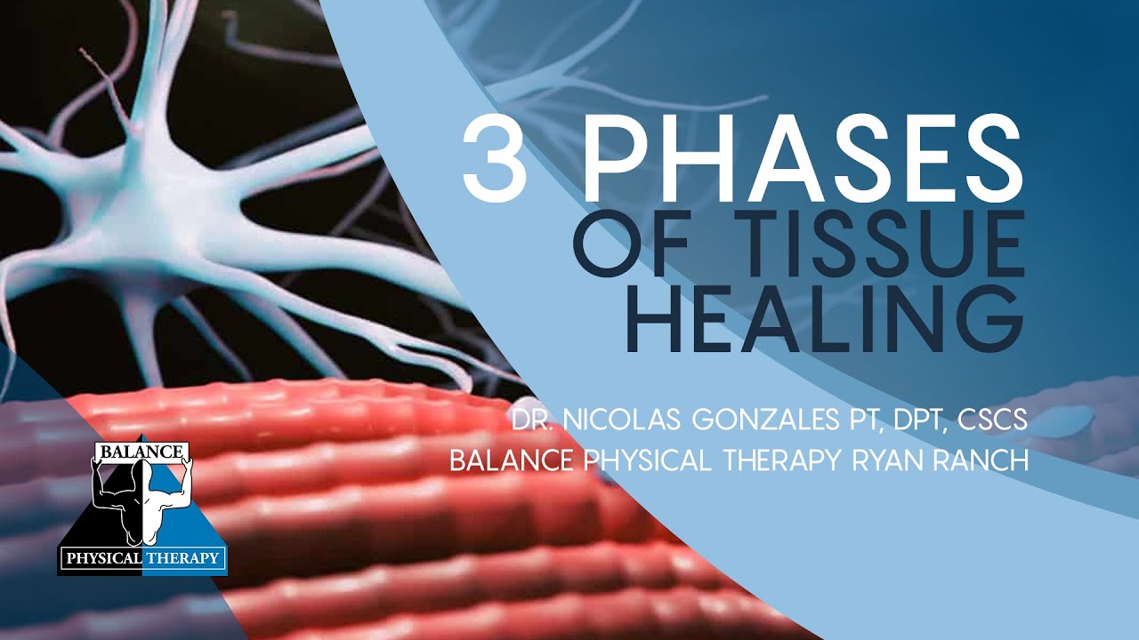 THREE PHASES OF TISSUE HEALING | Balance Physical Therapy