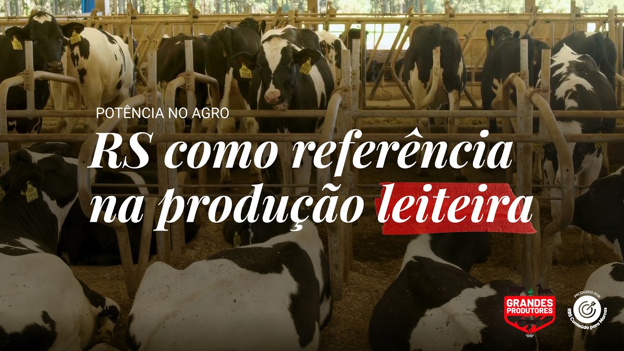 Por trás de uma das fazendas mais produtivas de Vacaria | Grandes Produtores #07