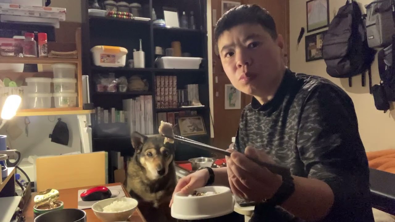 2026.2.16.晩飯,統合失調症,FTM,ミックス中型犬ラッキー,