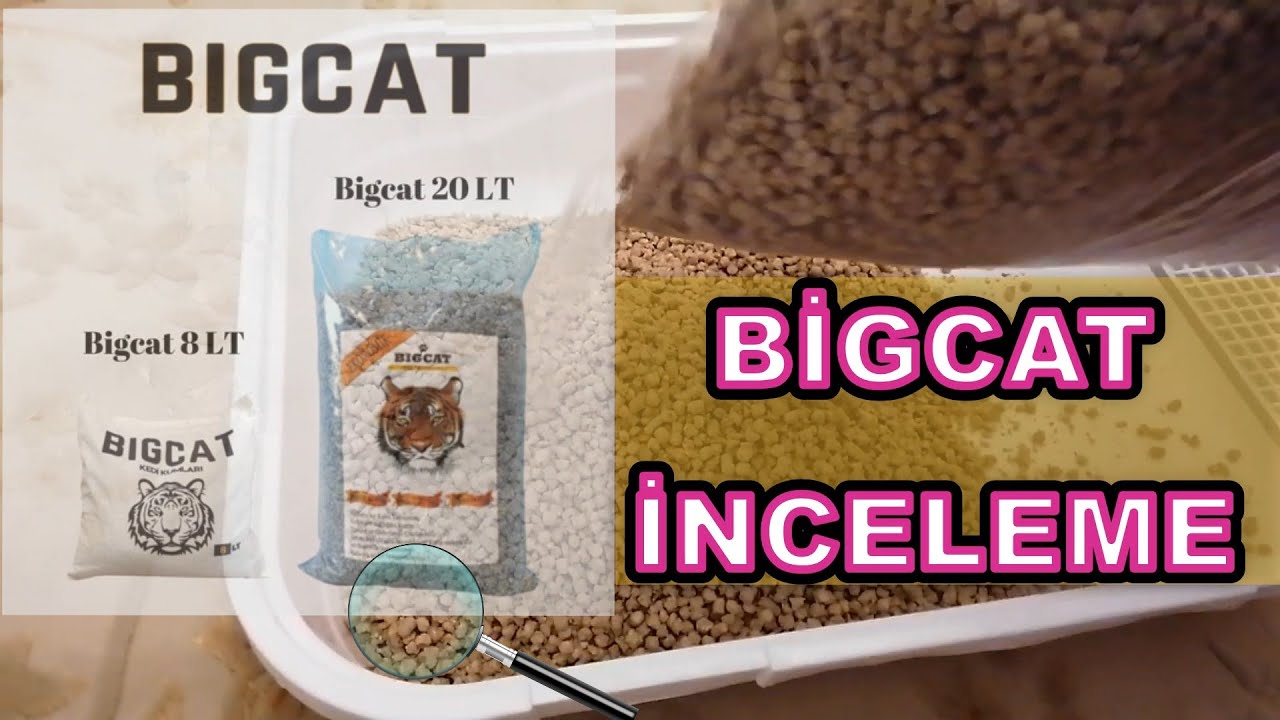 Bigcat Kedi Kumu İncelemesi - 1 Yıllık Kullanım Yorumum - Topaklanan Çam