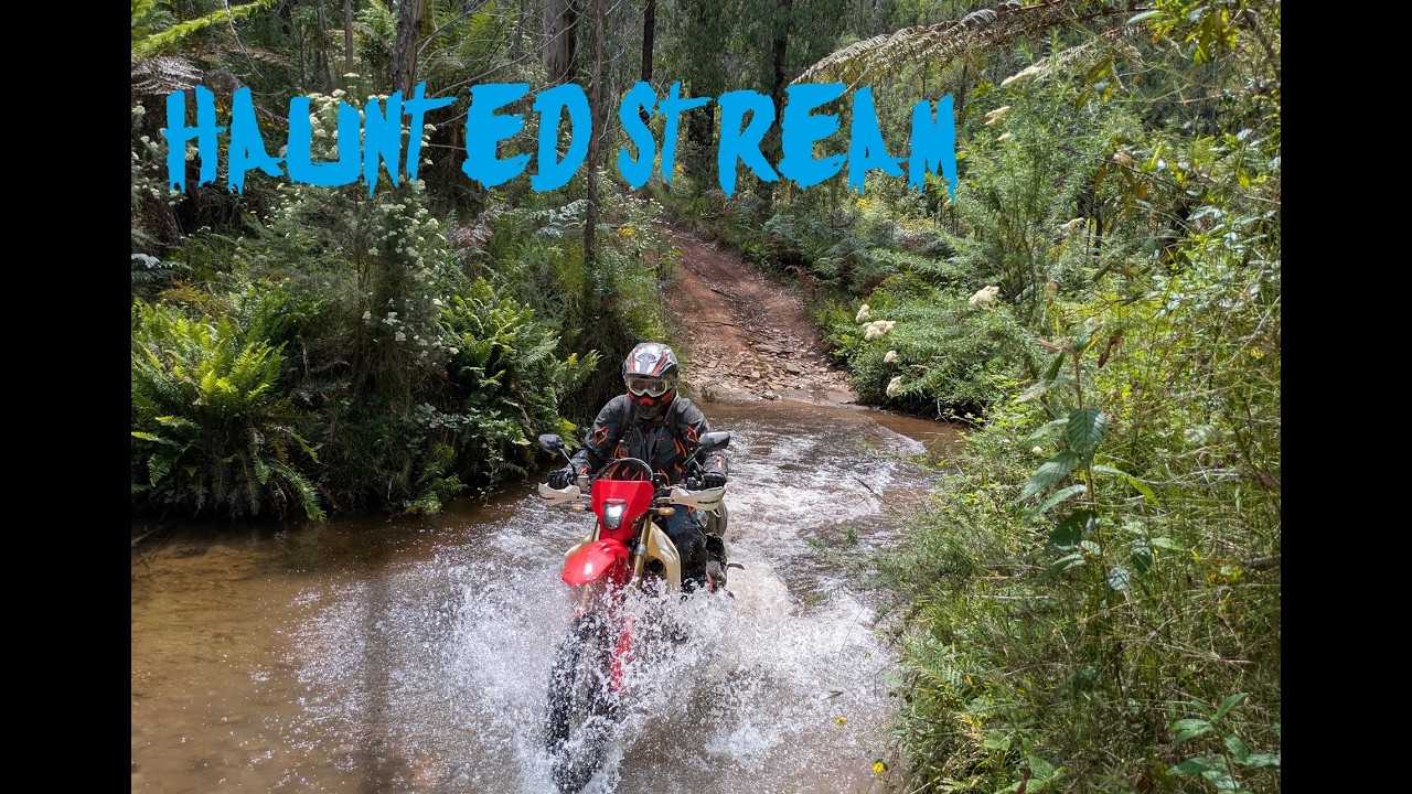 Water crossings up the Wazoo