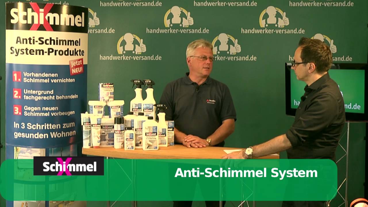 Schimmel entfernen an Wand & Tapete
