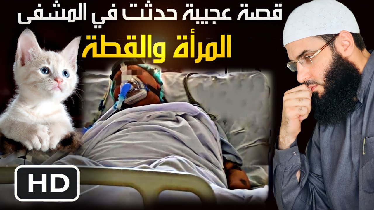 أمر عجيب حدث لامرأة في العناية المشددة بسبب قطة  قطة رائعة #