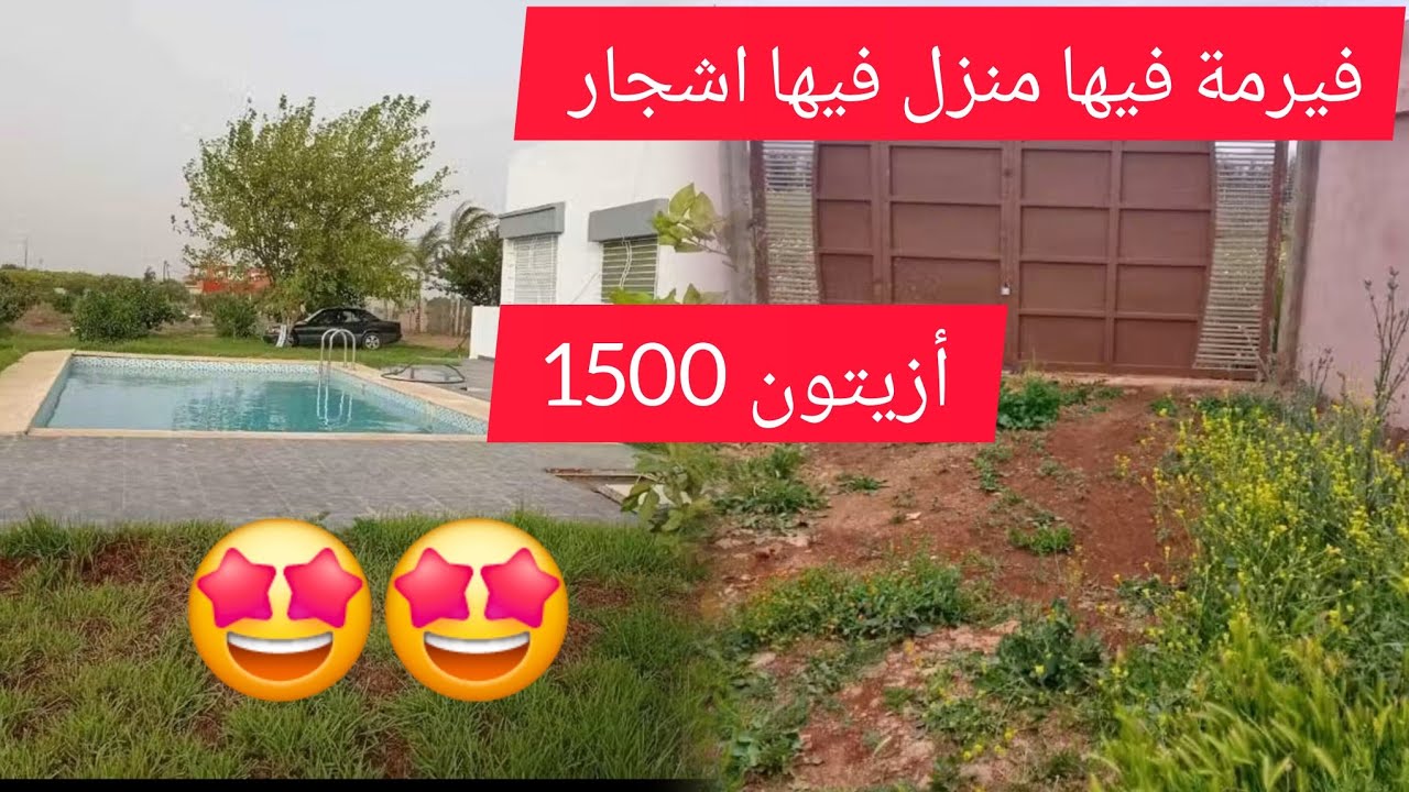 فيرمة للبيع فيها اشجار أزيتون ومنزل مجهزة بالبئر والماء صالح لشرب همزة 😁 جميلة #عقارات_علي #شقق