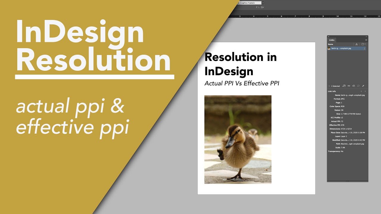 Resolution (Effective PPI vs Actual PPI) and Resizing Images - Adobe InDesign 2024 Tutorial