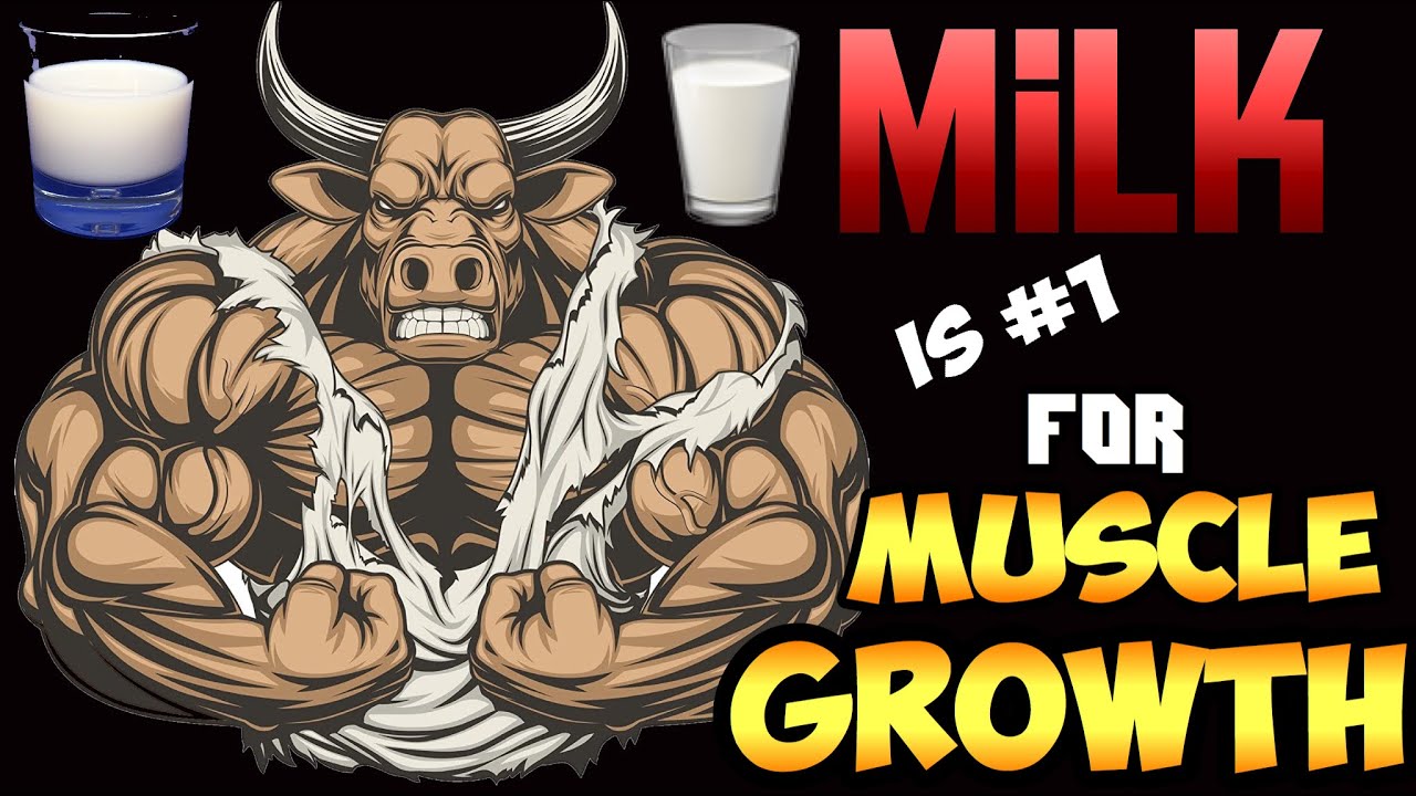 WHY MILK IS THE #1 MUSCLE BUILDING FOOD EVER || FULL BODY WORKOUTS + NUCLEUS OVERLOAD + MILK = GAINS
