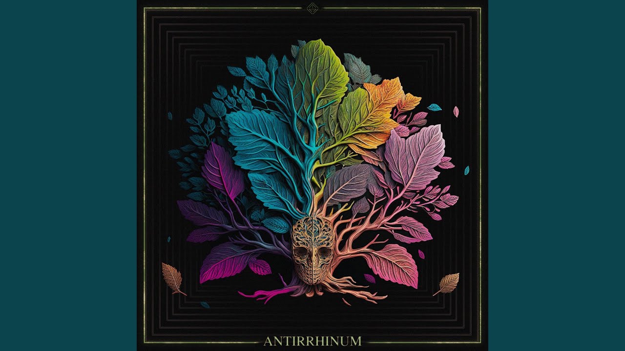 Antirrhinum