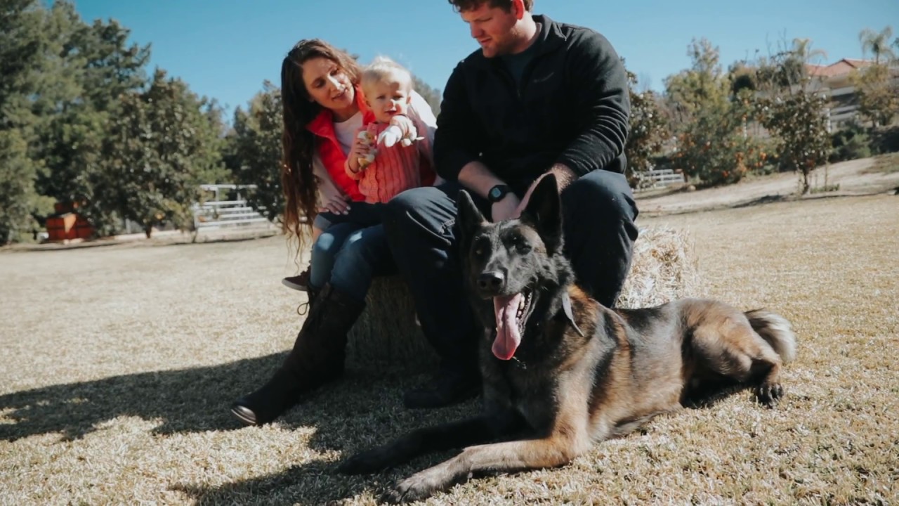 Family Protector