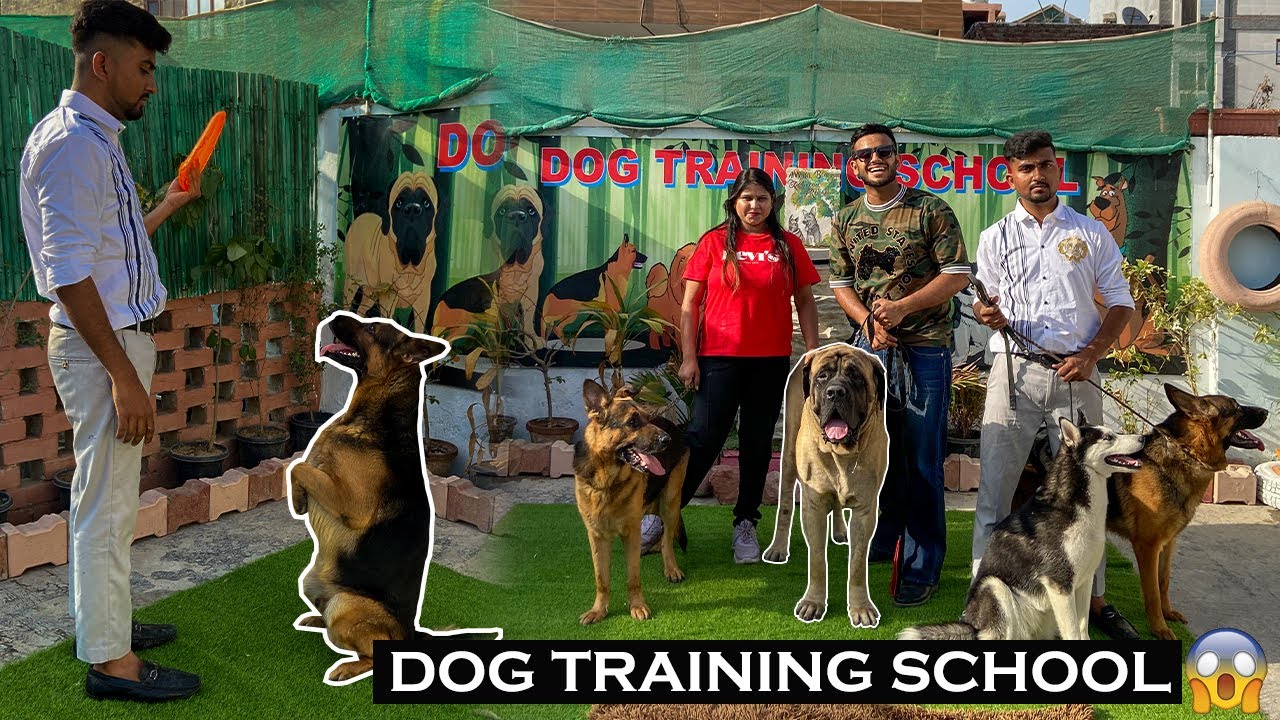 India’s Best Dog Training School For Aggressive Dogs😱