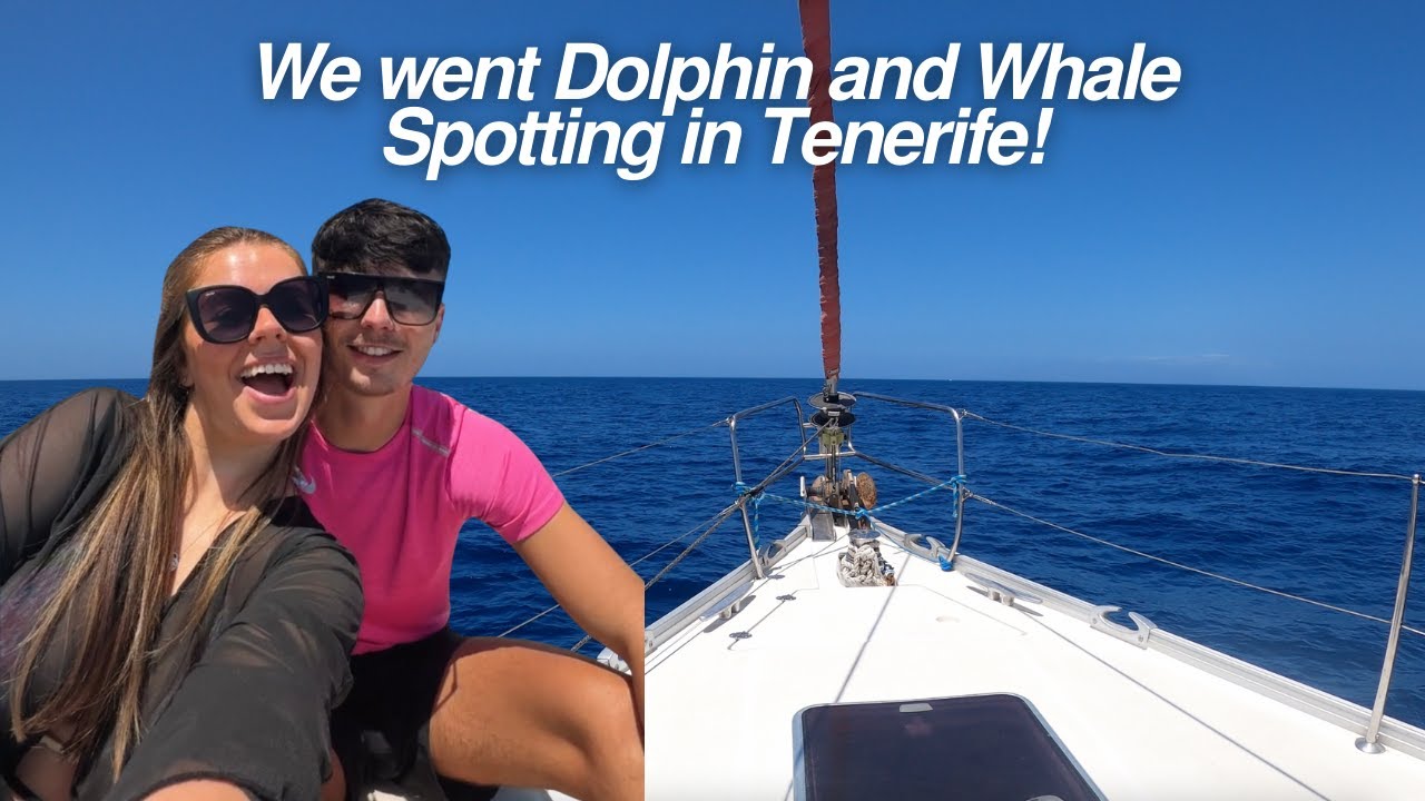 We went WILD Dolphin and Whale spotting in Tenerife!
