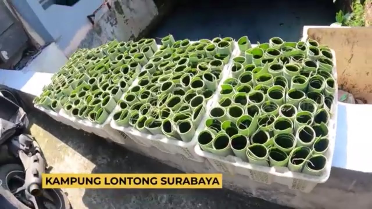 Berkunjung Ke Kampung Lontong Surabaya | RAGAM INDONESIA (24/08/23)