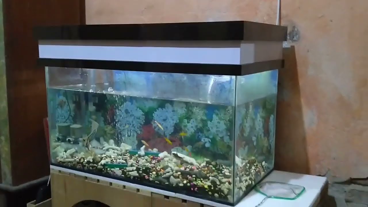 Tutup Aquarium Minimalis