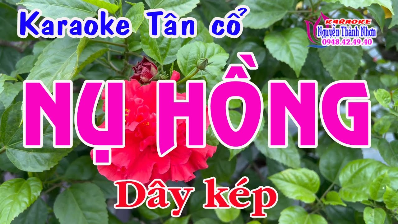 Karaoke tân cổ NỤ HỒNG - DÂY KÉP [ Nhạc - Vọng cổ 1-2-6 ]