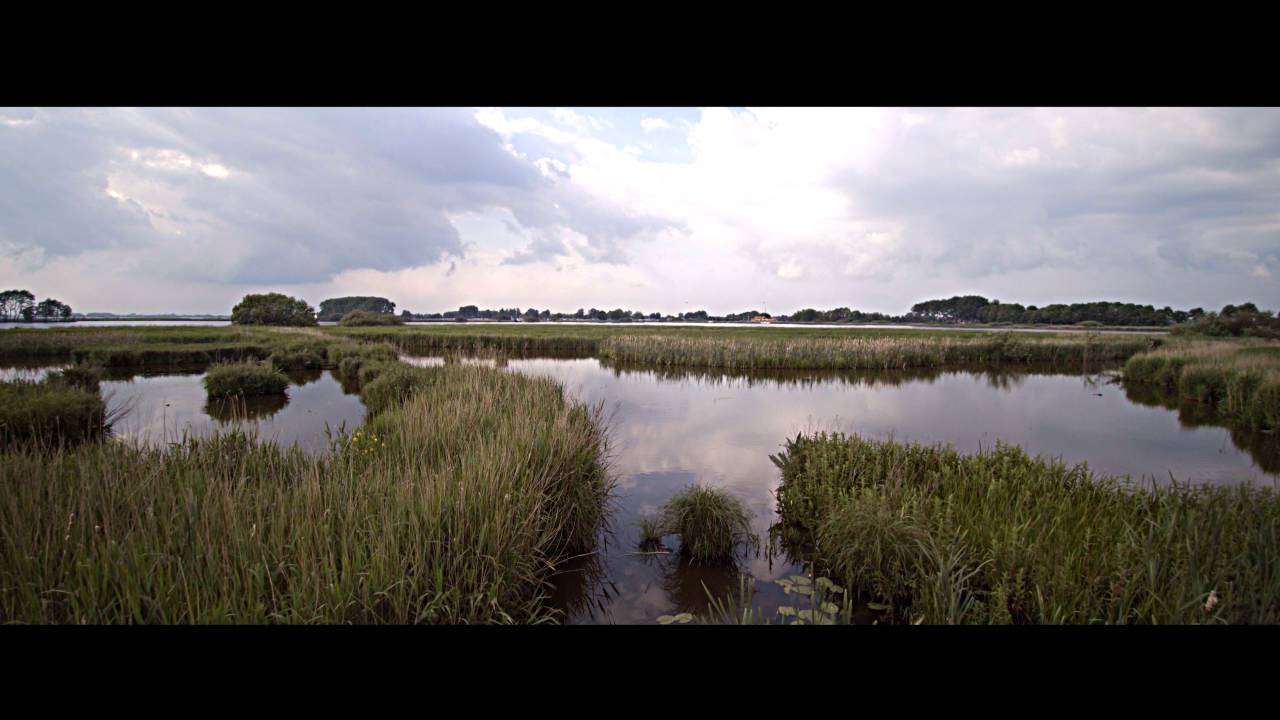 Terherne - Friesland - Holland - mei/juni 2016