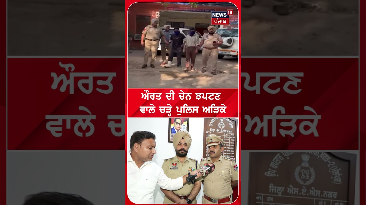 ਔਰਤ ਦੀ ਚੇਨ ਝਪਟਣ ਵਾਲੇ ਚੜ੍ਹੇ ਪੁਲਿਸ ਅੜਿਕੇ #shorts |N18S