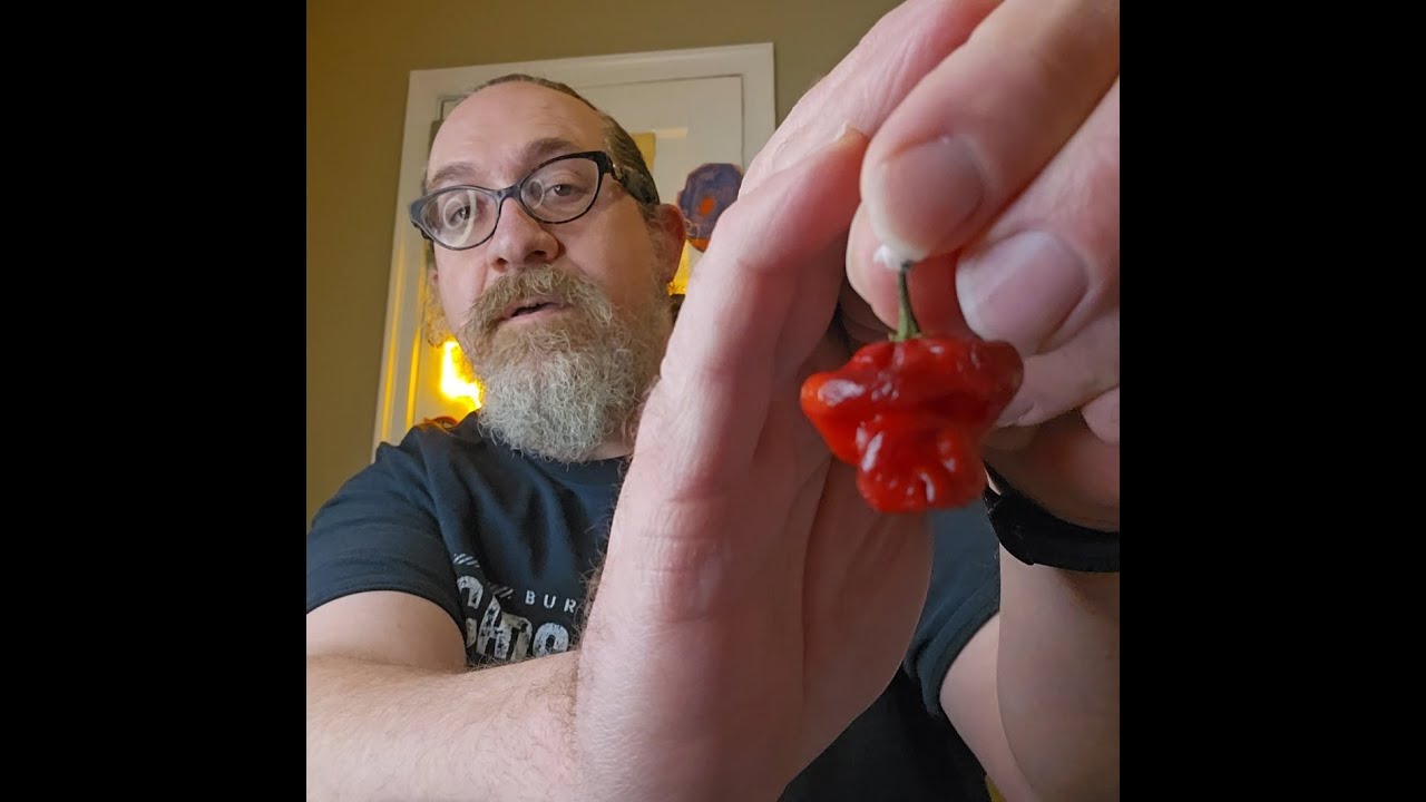 Grape of Wrath Pepper Review – A Deceptively Fruity Superhot with a Slow-Burning Sting