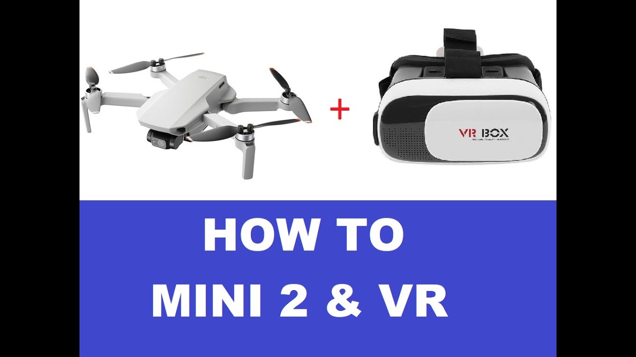 DJI Mini2 VR With Litchi beta