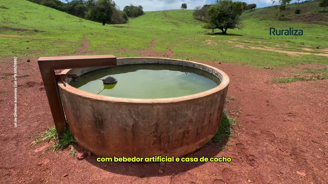 Fazenda de Dupla Aptidão no TO - 2.325 Hectares | Pronta para Pecuária (2.500 Cabeças)