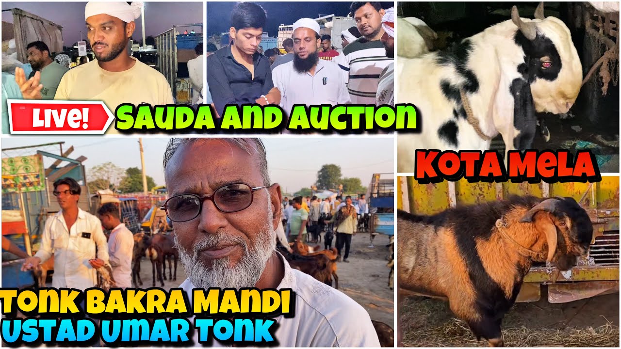 TONK BAKRA MANDI KOTA Bakro ka MELA | LIVE SAUDA with Mujahid Bhai and USTAD UMAR Tonk