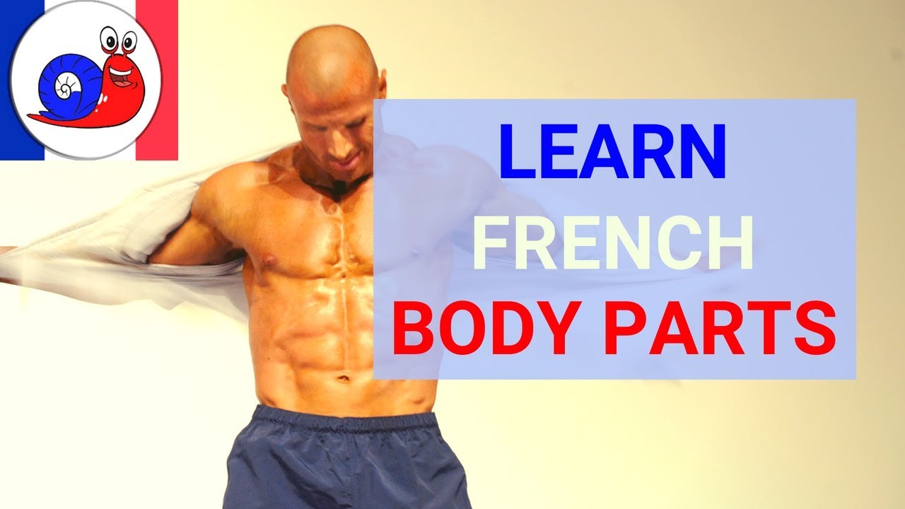 Learn the parts of the body in French [Increase your Vocabulary]