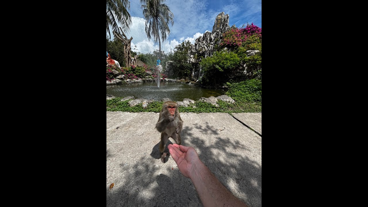 Alexandr Poletaev в прямом эфире!