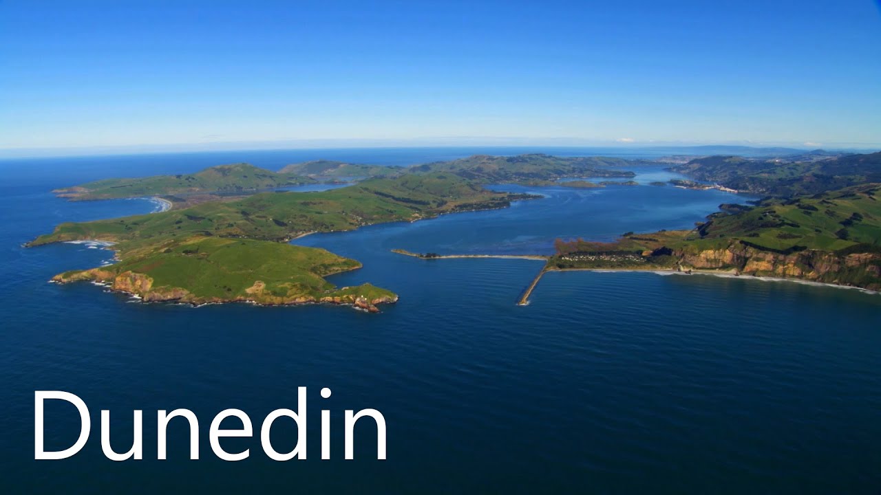 Dunedin, Otago, New Zealand. Best Things to Do, incredible wildlife and amazing Places to Visit!