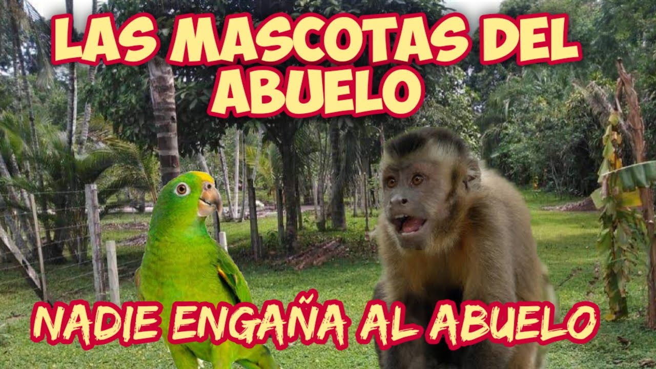 Las Mascotas Del ABUELO Nadie engaña al abuelo