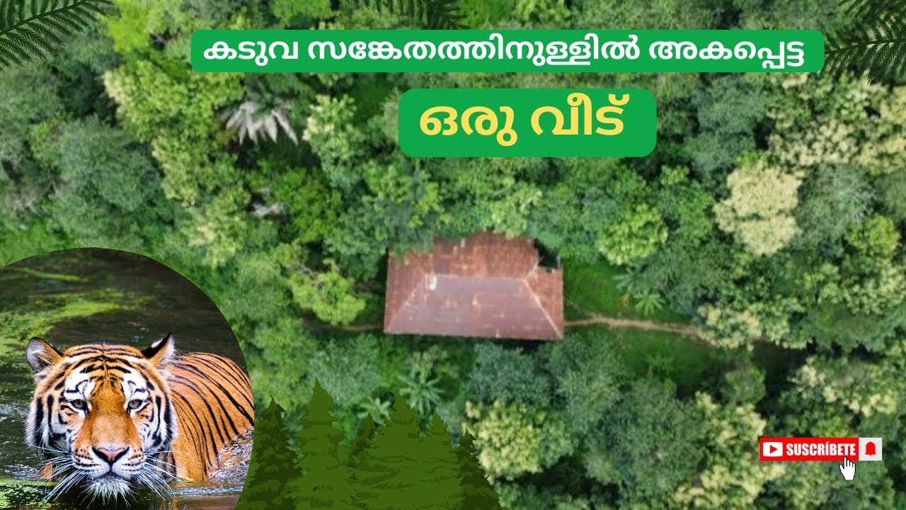 Gudalur forest | കൊടും കാട്ടിൽ താമസിക്കാൻ പോയിപ്പെട്ടു 🫢