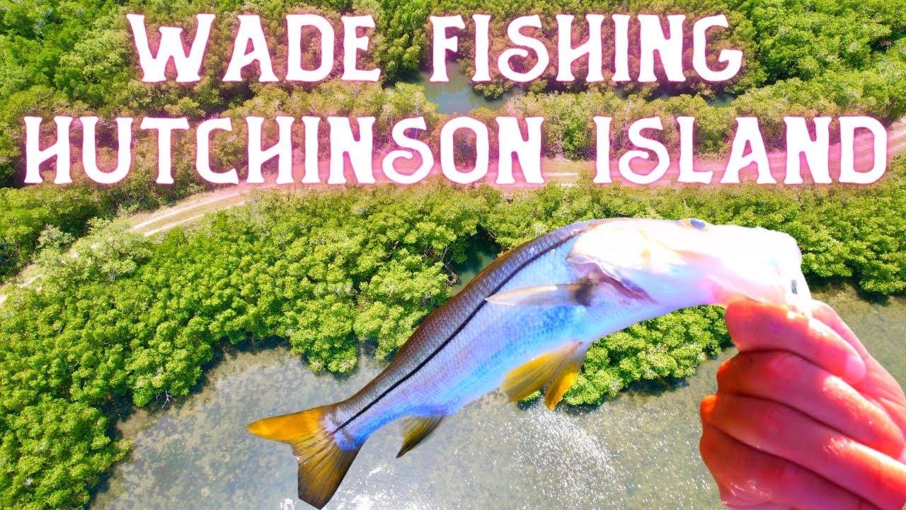 HOW TO WADE FISH on Hutchinson Island, FL (TARPON + SNOOK)