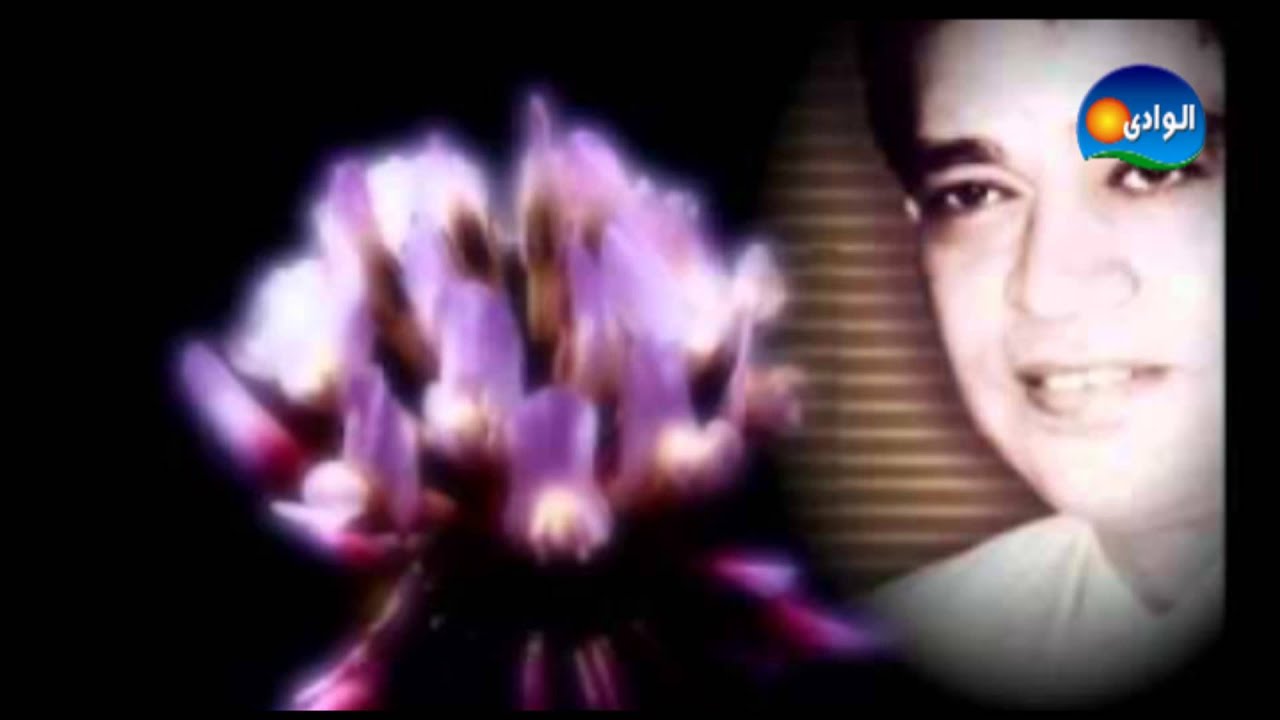 محرم فؤاد - غدارين