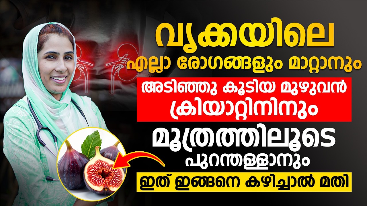 വൃക്കയിൽ അടിഞ്ഞുകൂടിയ ക്രിയാറ്റിനിൻ കുറയ്ക്കാനും കിഡ്നി രോഗം വരാതിരിക്കാനും ദിവസവും ഇത് കഴിക്കൂ !